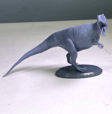 Giganotosaurus Pose #1